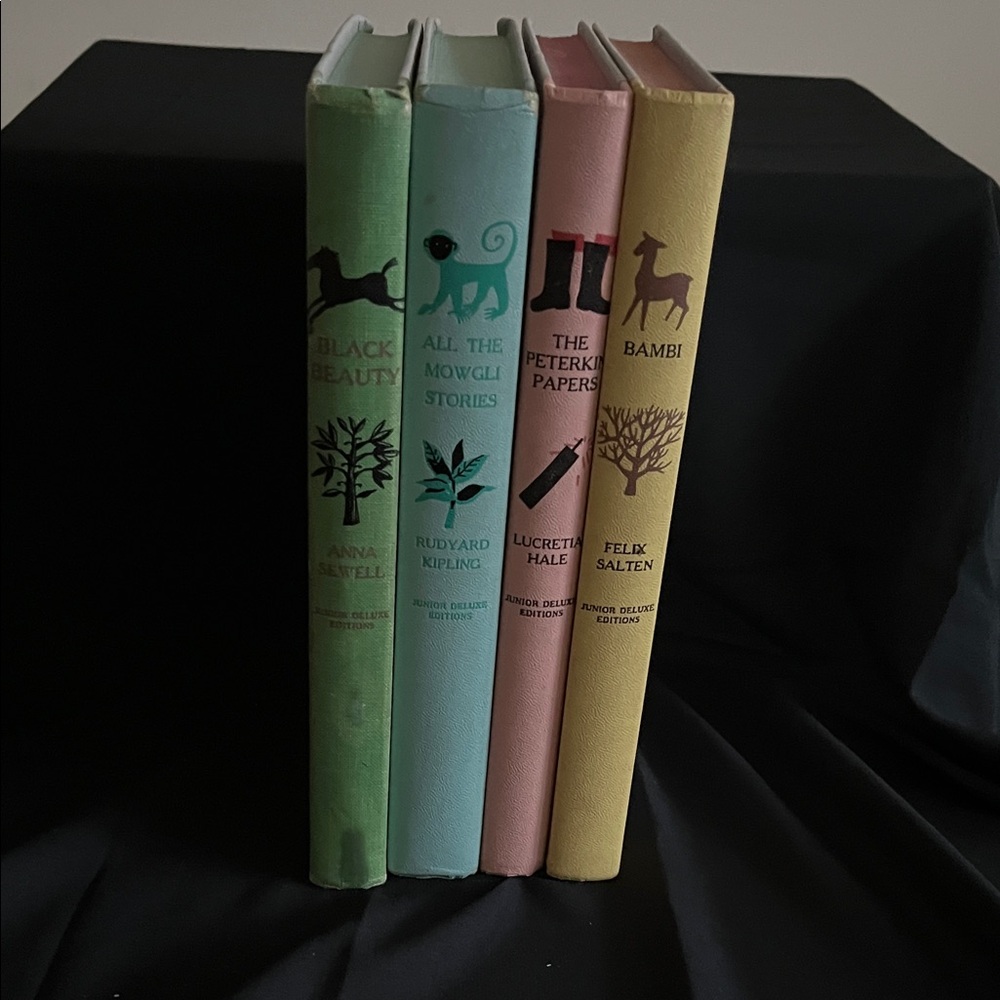 Vintage Illustrated Hardcover Book Set